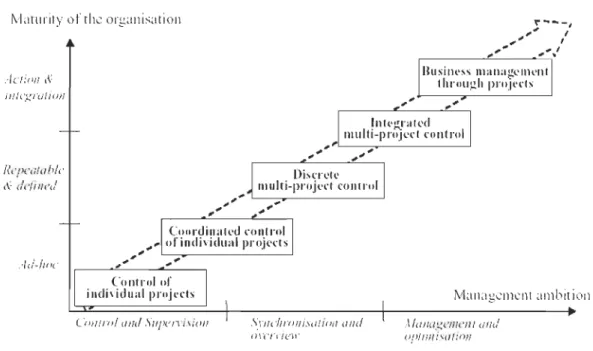 Figure 1: Maturité du contrôle des projets (Michelsen et al., 1999) 
