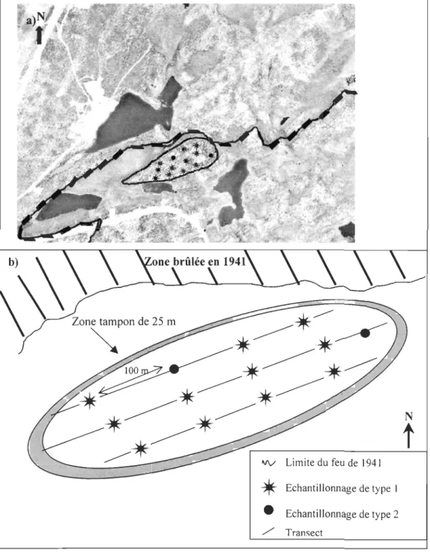 Figure  2 :  a)  photo  aérienne  du  site  d'étude  b)  schéma  représentant  le  dispositif  d'échantillonnage