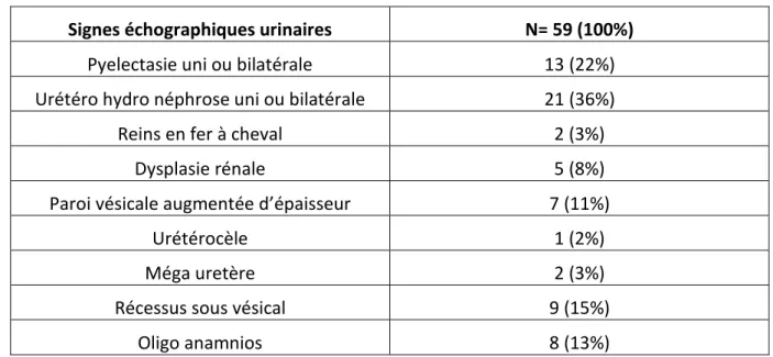 Tableau 10 : Signes échographiques de l’appareil urinaire associés à la mégavessie fœtale  Signes échographiques urinaires  N= 59 (100%) 