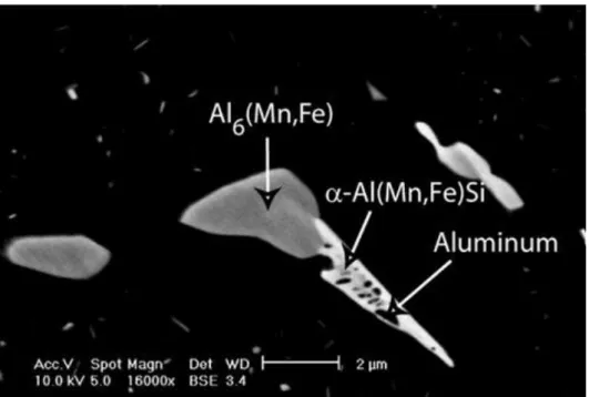 Fig. 2.14 Backscattered SEM image after 1 h at 500 °C with 20°C/s heating rate revealing the  eutectoid transformation of Al 6 (Mn, Fe) into α-Al(Mn,Fe)Si