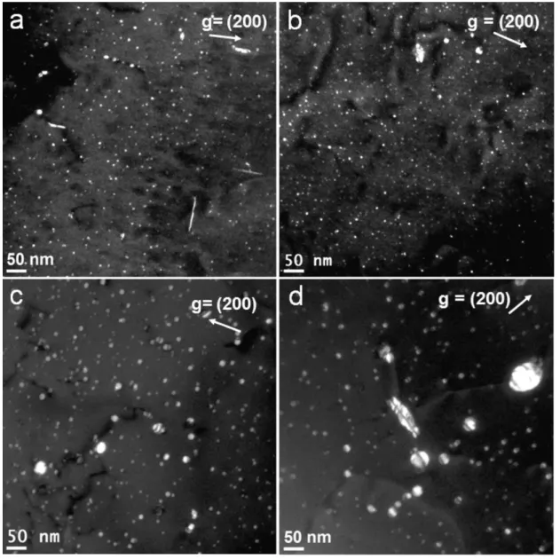Fig. 2.16 TEM dark-field images showing the Al 3 (Sc,Zr) precipitates in an Al-B 4 C composite: 