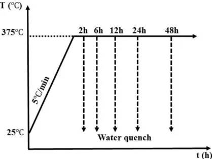 Fig. 3.1 The schematic diagram of heat treatment condition for DM series and DS series  alloys 
