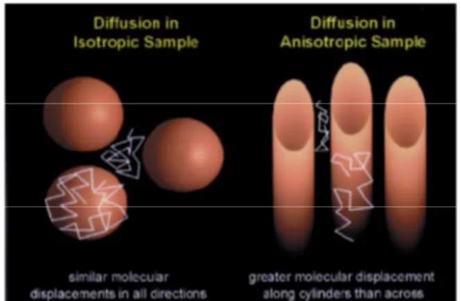 Illustration du phénomène de diffusion au sein de  deux échantillons différents. 