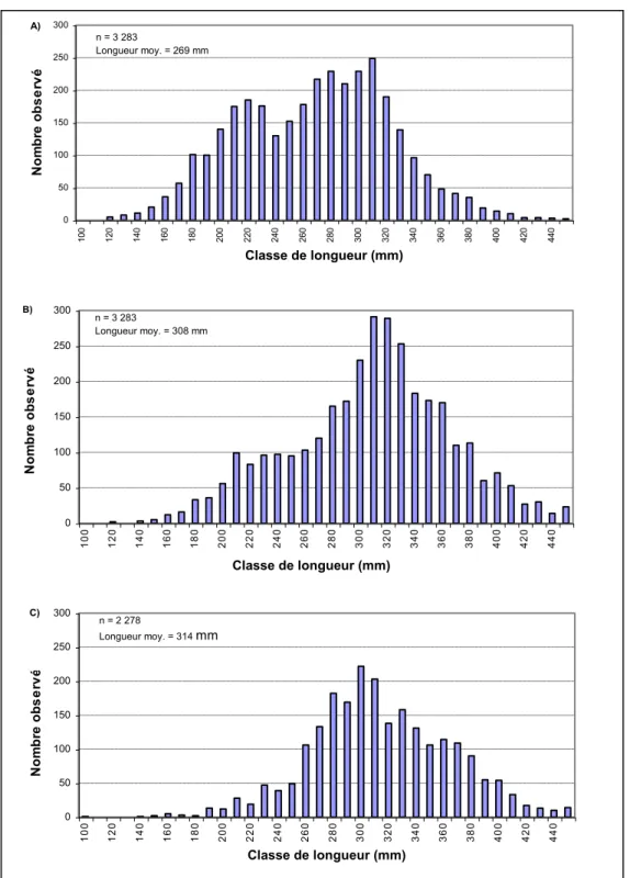 Figure 10. Distribution des classes de longueur échantillonnées A) de 1982  à  1988  (période  d'influence  avant  la  construction  du  barrage  en 1986); B) de 1989 à 1998 (période d'influence postérieure à  la construction de 1986 et antérieure à la réf