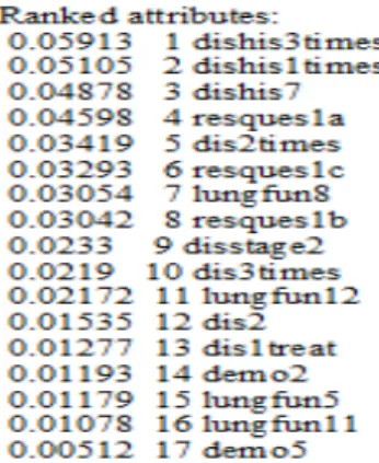 Figure 9. The arrangement of the relevant attributes, based on the GainRatio values. 