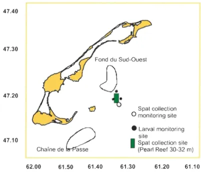 Figure  2.1.  Location  of experimental  sites  for  sea  scallop  spat  collection  and  larval  abundance  of  commercial  spat  collection  sites  and  of  scallop  fishing grounds (Fond du  Sud-Ouest and Chaîne de  la Passe) in  Îles de la  Madeleine, 