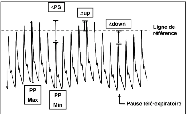 Figure 8: Variations respiratoires de la pression artérielle. 