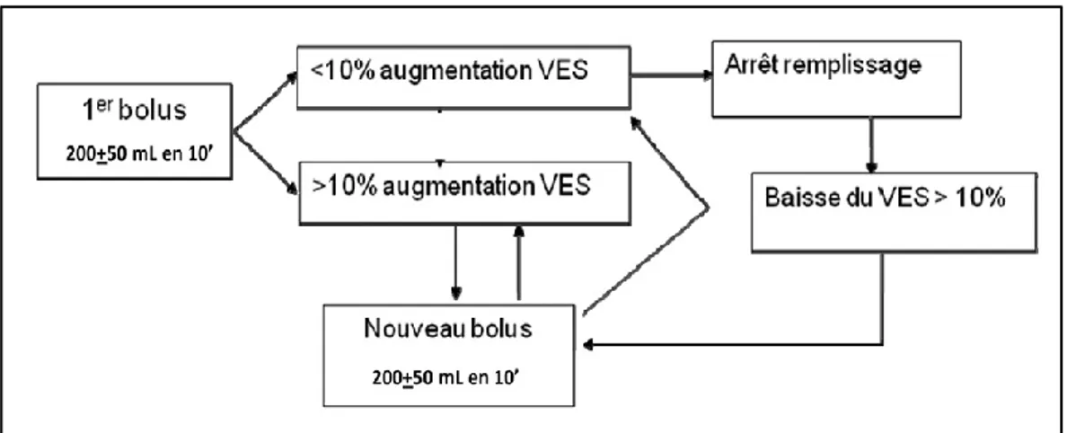 Figure 11: algorithme proposé par la Société Française d’Anesthésie et de Réanimation pour  l’optimisation peropératoire du volume d’éjection systolique