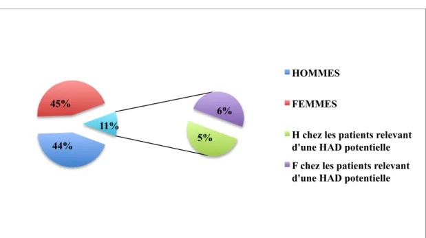 Figure 6 : La répartition des patients relevant d’une HAD potentielle selon le sexe 