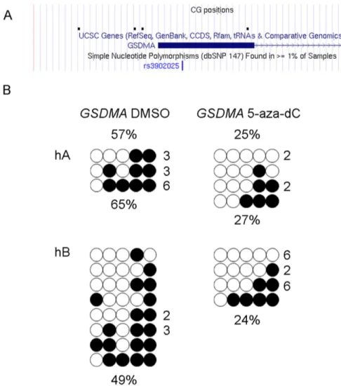 Fig 2. DNA methylation patterns of the GSDMA promoter in NuLi-1 cells. (A) Positions of the