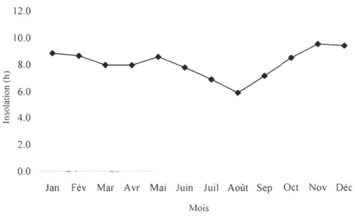 Figure  3  : Durée d'insolation journalière moyenne par mois, Kandi (Bénin). 