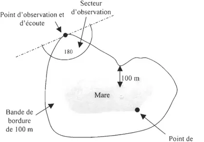 Figure  6  :  Situation  des  secteurs  d'observation  d' oiseaux  et  de  la  bande  de  bordure  de  100 m délimitée autour d'une mare