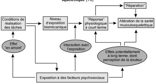 Figure 7: Différents niveaux d’impacts des facteurs psychosociaux au travail sur la santé musculo- musculo-squelettique  (76) 