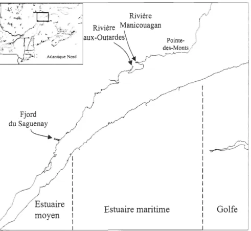Figure 1-2. Présentation de l' estuaire du Saint-Laurent et de ses principales sources d' eau douce 