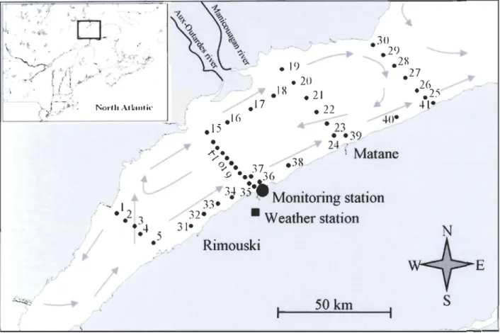 Figure 2-1.  Location of sampling stations in the St.  Lawrence Estuary during the surnmer 1998