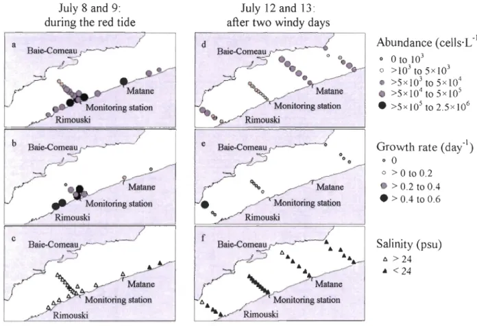 Figure  2-3. Spatial distribution of (a, d)  A.  tamarense  abundance, (b, e)  A .  tamarense  growth rate  and (c,  f)  salinity in  surface waters of the St