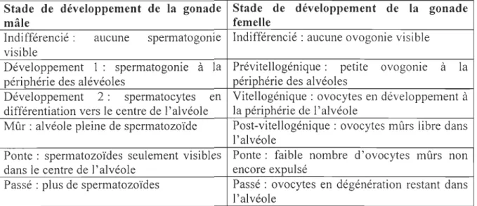 Tableau  2 :  catégorisation de  chaque stade du développement de  la gonade mâle et  femelle