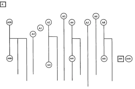 Figure 1 Structure sociale du groupe de macaques crabiers du Laboratoire de pnmatologie comportementale de l’Université de Montréal