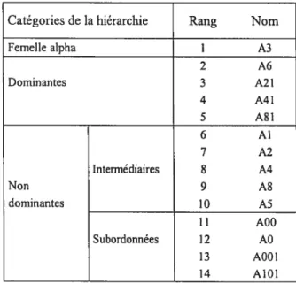 Tableau II: Classement des femelles adultes du groupe de macaques crabïers du Laboratoire de primatologie comportementale de l’Université de Monfréal regroupées sur la