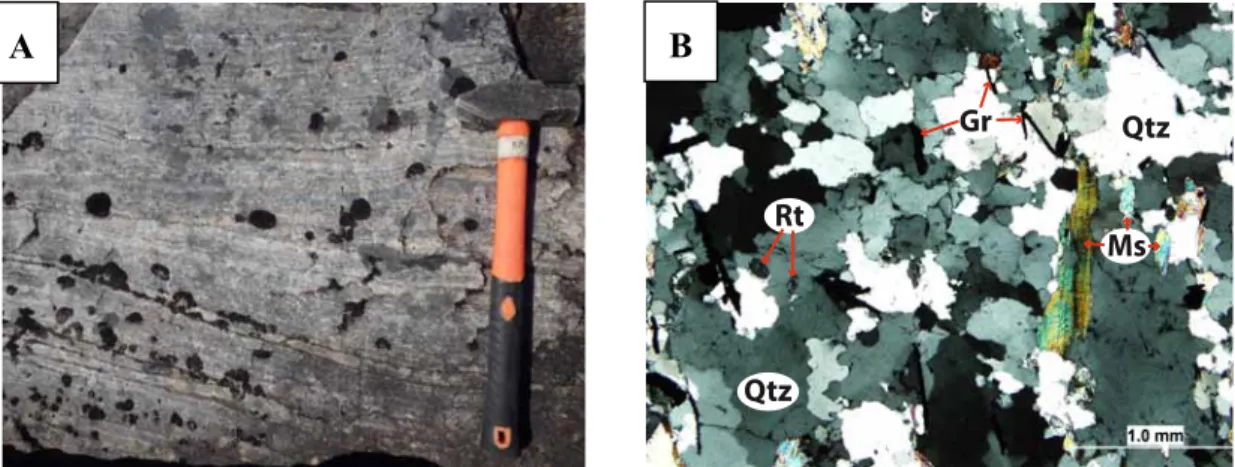 Figure 3.13. Photographies de l’affleurement (A; RPP-136-14) et en lame mince (B; RPP-91- RPP-91-14) de la quartzite