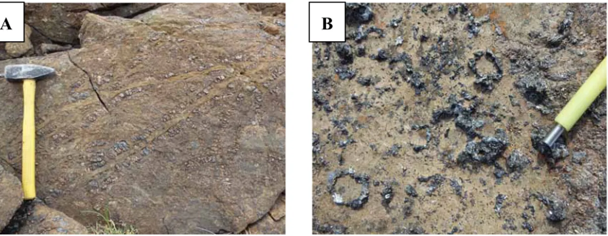 Figure  4.7.  Photos  des  l’affleurements  RPP-51-14  (A)  et  RPP-145-14  (B)  qui  montrent  des  couronnes  d’orthopyroxènes  de  taille  variable  autour  des  reliques  d’olivine  partiellement  serpentinisées