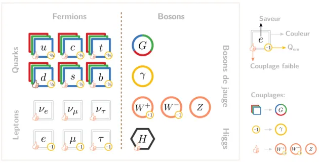 Figure 1.1 – Particules fondamentales dans le Modèle standard.