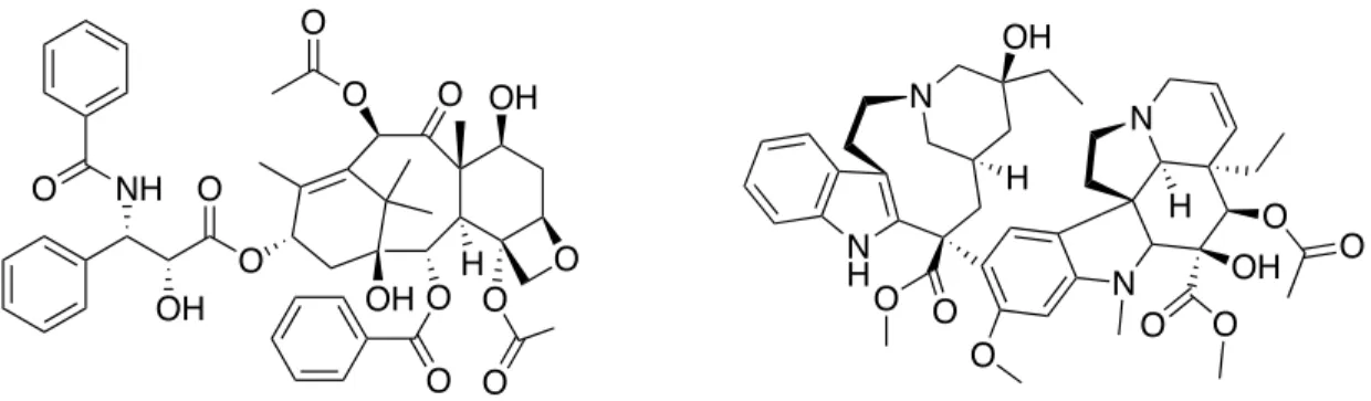 Figure 1 : Structures moléculaires du paclitaxel et de la vinblastine