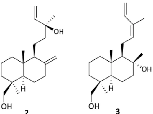 Figure 3 : 13-épitorulosol (2) et 19-cis-hydroxiabienol (3) 