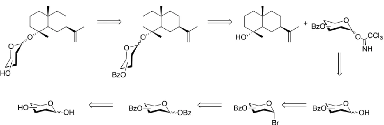 Figure 5 : Approche rétrosynthétique pour la préparation des glycosides