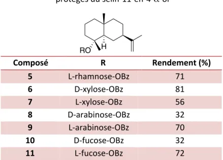 Tableau 3 : Rendements obtenus pour les dérivés glycosidiques    protégés du sélin-11-en-4-α-ol  Composé  R  Rendement (%)  5  L-rhamnose-OBz  71  6  D-xylose-OBz  81  7  L-xylose-OBz  56  8  D-arabinose-OBz  32  9  L-arabinose-OBz  70  10  D-fucose-OBz  3