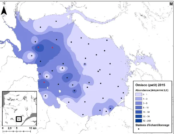 Figure 4 : Distribution spatiale des petits omiscos (&lt; 40 mm) au lac Saint-Jean lors du  relevé  annuel  du  MFFP  de  2001  à  2015