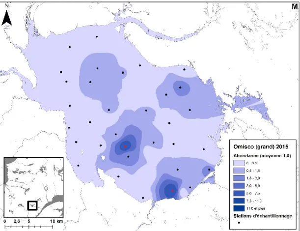 Figure 5 : Distribution spatiale des grands omiscos (&gt; 40 mm) au lac Saint-Jean lors du  relevé  annuel  du  MFFP  de  2001  à  2015