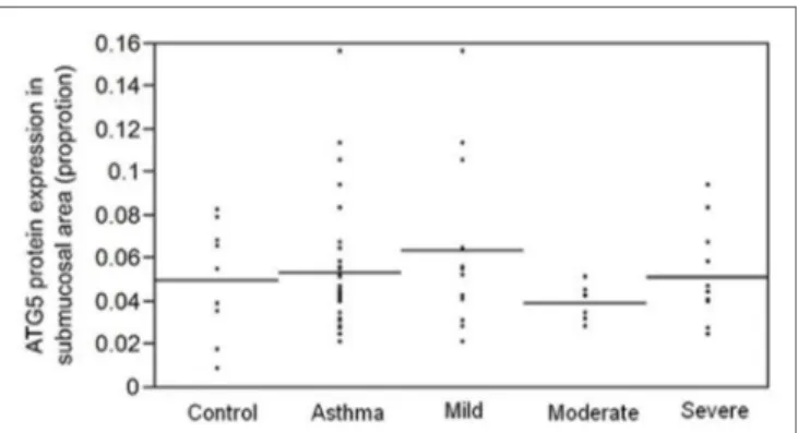 FigUre 2 | aTg5 protein expression, measured as proportion of  positively stained area in the submucosa, is not associated with  asthma per se (p = 0.1) or with asthma severity (p = 0.7).