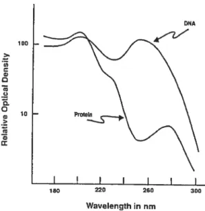 Figure 1-11. Comparaison des coefficients relatifs d’absorption de l’ADN et des protéines en fonction de la longueur d’onde (Coohill 2002).