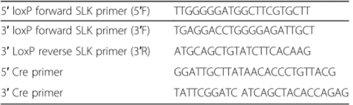 Table 1 Genotyping and recombination PCR primer sequences 5 ′ loxP forward SLK primer (5 ′ F) TTGGGGGATGGCTTCGTGCTT 3 ′ loxP forward SLK primer (3 ′ F) TGAGGACCTGGGGAGATTGCT 3 ′ LoxP reverse SLK primer (3 ′ R) ATGCAGCTGTATCTTCACAAG