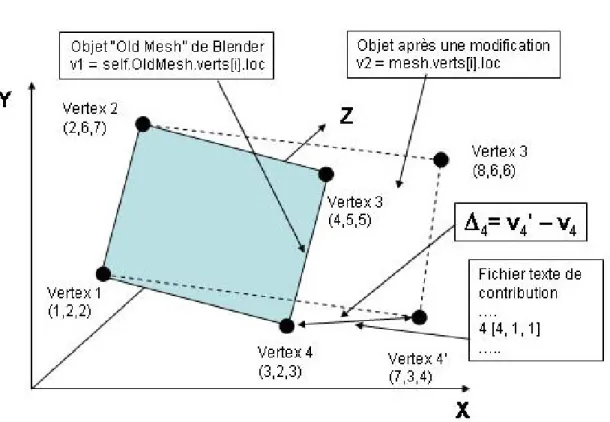 Figure 4.3.1  Définition de la contribution sur une figure en treillis métallique 