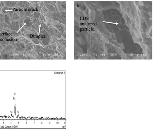 Fig. 10. SEM images of the tensile fracture surfaces of the tested S40 at 250 °C: (a) general view; 