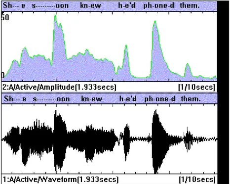 Figure 13 : Courbe d'amplitude et oscillogramme qu'on peut afficher en parallèle dans Wincecil  (1997