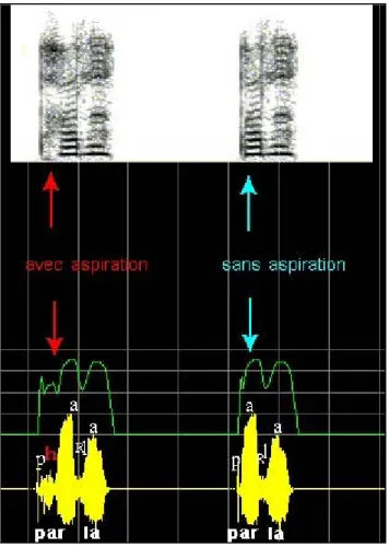 Figure 5 : Édition du signal sonore.   