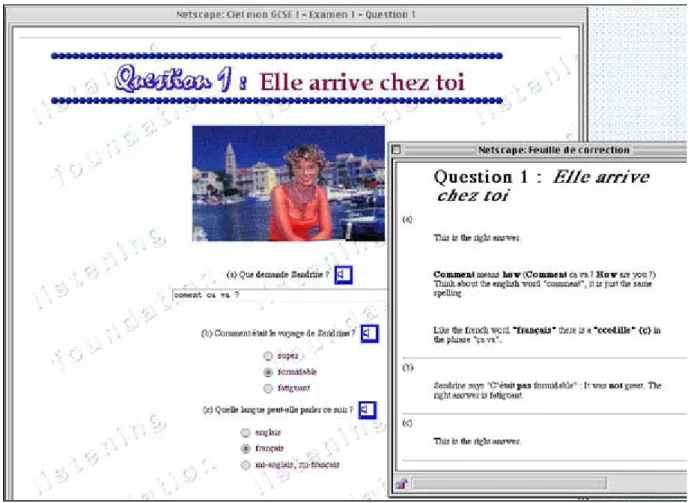 Figure 1 : Exemple de test en compréhension orale.