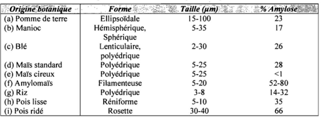 Tableau 2 : Formes et tailles des grains d'amidon selon leur origine botanique. 