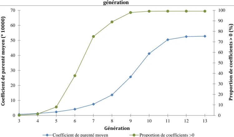 Figure 3.6 : Coefficient de consanguinité moyen et proportion de coefficients de consanguinité &gt;0  par génération  0 102030405060708090 100010203040506070345678910111213 Proportion de coefficients &gt; 0 (%)