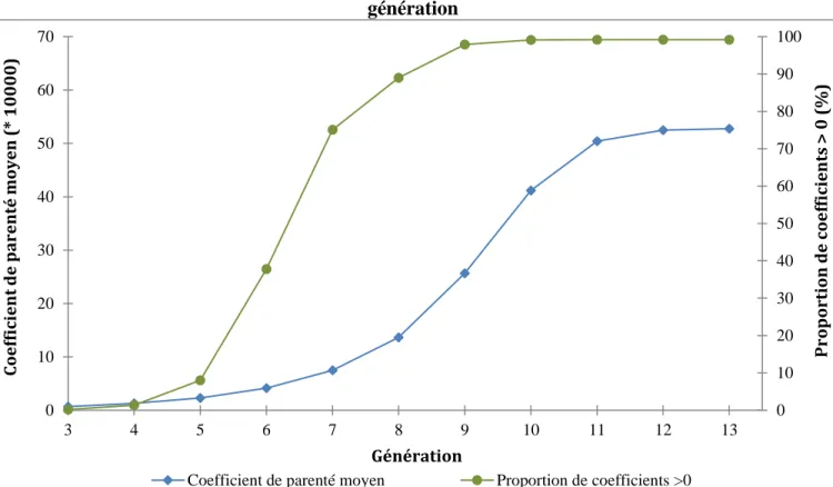 Figure 3.6 : Coefficient de consanguinité moyen et proportion de coefficients de consanguinité >0  par génération  0 102030405060708090 100010203040506070345678910111213 Proportion de coefficients > 0 (%)