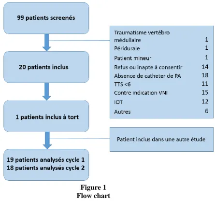 Figure 1  Flow chart 