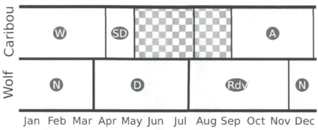 Figure 1: Representation of the biological seasons for caribou and wolves throughout  the year in boreal forest of Quebec, Canada