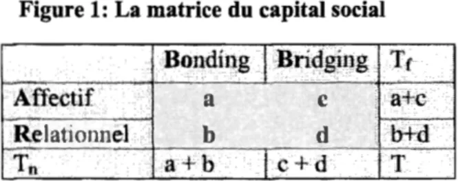 Figure 1: La matrice du capital social 