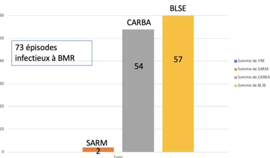 Figure 3: descriptif des BMR (Nombre d’épisodes infectieux) 
