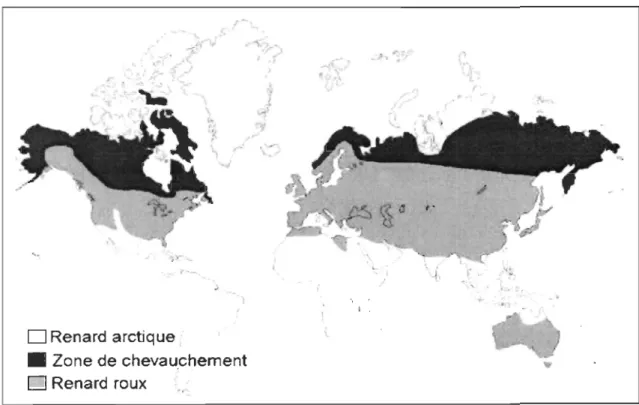 Figure 1: Aire de répartition actuelle des renards roux et arctiques (d'après Larivière et Pasitschniak-Arts,  1996;  Audet etal ,  2002) 