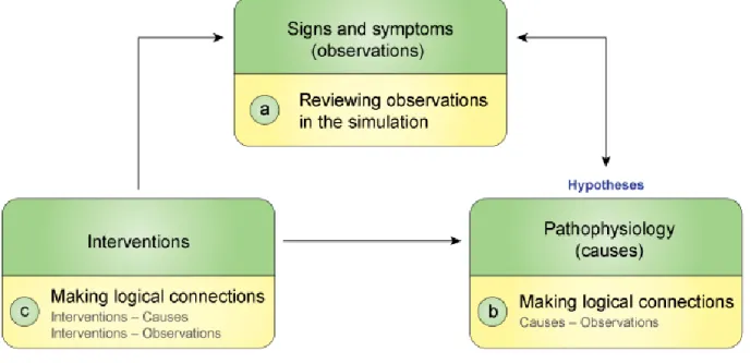 Figure 4. Students’ configuration of a framework of the patient’s situation 