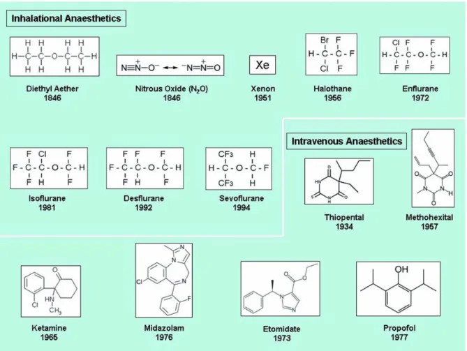 Figure 2 : Structures chimiques des anesthésiques généraux  [17]